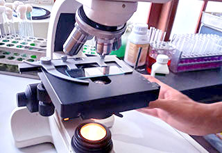 Anala Laboratory Testing Service